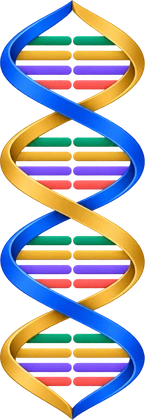 StockHelix